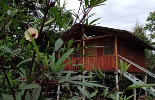 Quebrada La Gamba House | Cabaña En El Bosque
