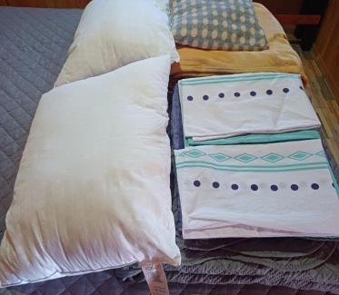 Conaripe Apartment | Cabaña Moebius Conaripe