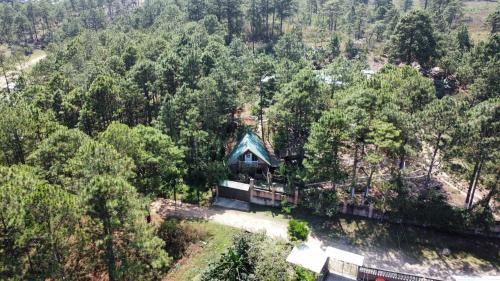 Siguatepeque Ski Chalet | Cabaña monte de los olivos