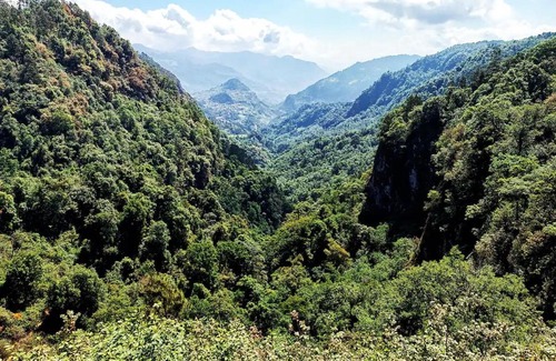 Acaxochitlan Other | Cabaña para pareja en el bosque IB