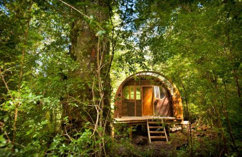 Collentane Ski Chalet | Cabaña Tinquilco