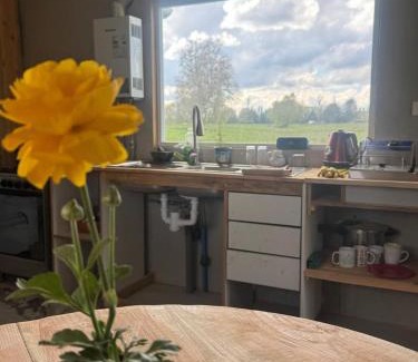 Osorno Villa | Cabaña Vista al Prado