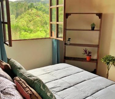 Agua Caliente Apartment | Cabaña Vista Verde