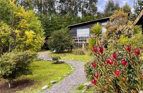 Puertecillo House | Cabañas Bosques de Puertecillo