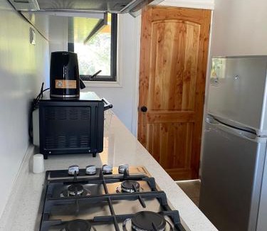 Rio Claro Ski Chalet | Cabañas Cocodrilo Lodge