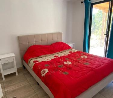 Rio Claro Ski Chalet | Cabañas Cocodrilo Lodge