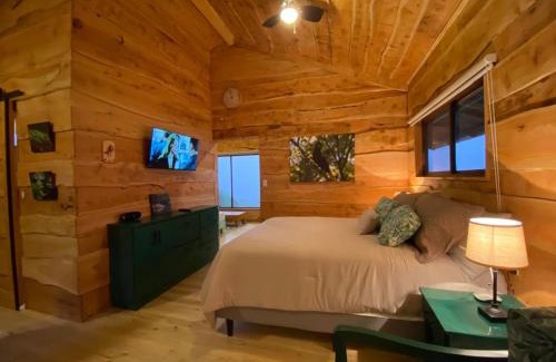 Roble Apartment | Cabañas Emerald Forest