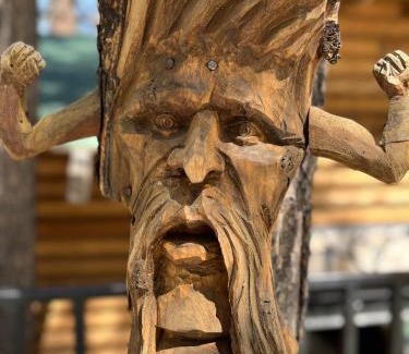 Monterrey Other | Cabañas La Wereke