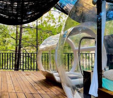 Monterrey Other | Cabañas La Wereke