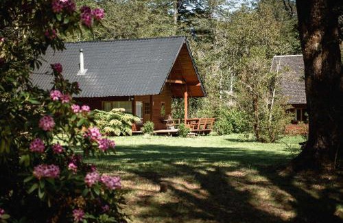 Pucon House | Cabañas Metreñehue - Parque Metreñehue