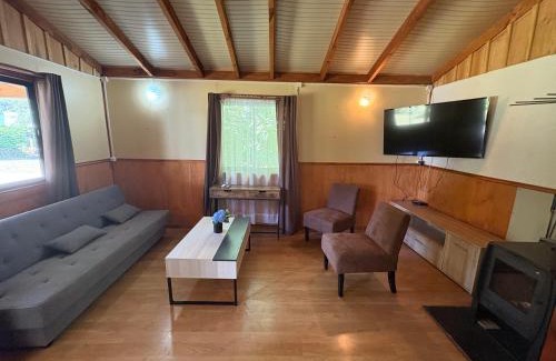 Panguipulli Apartment | Cabañas San Agustín