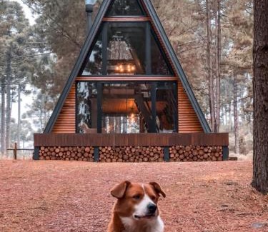 Cambara do Sul Ski Chalet | Cabana Alameda Orange