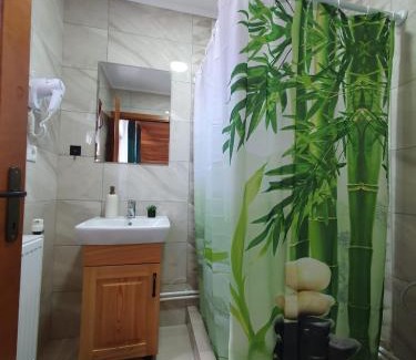 Bistrita Bargaului Villa | Cabana belvedere (VIS)