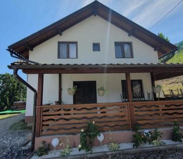 Bistrita Bargaului Villa | Cabana belvedere (VIS)