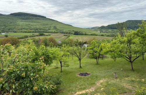 Mintiu Gherlii Ski Chalet | Cabana cu Livada