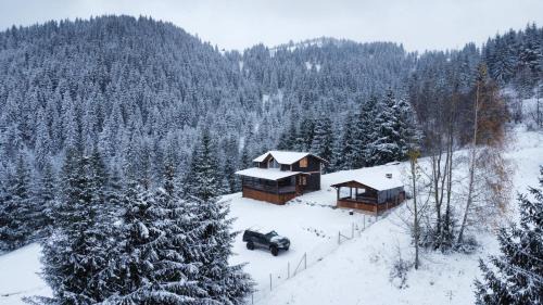 Borsa Ski Chalet | Cabana din Munți