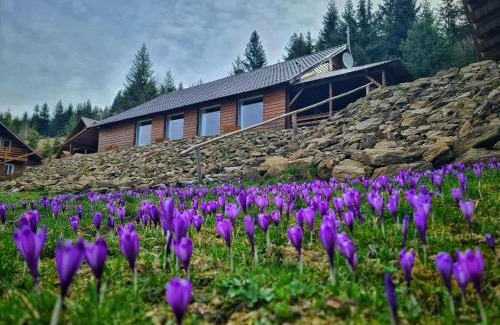 Horea Cabin | Cabana Dor de Apuseni