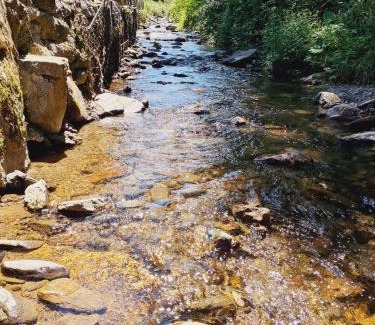 Bratca House | Cabana Gabriella