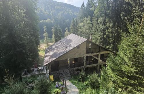 Arefu Cabin | Cabana Zimbru Transfagarasan