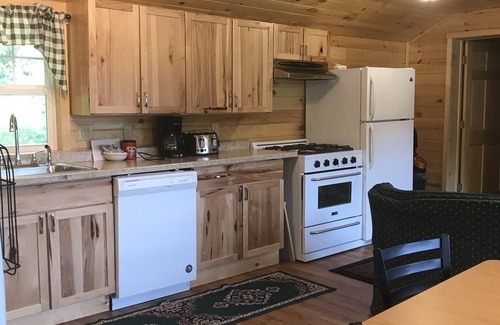Sioux Narrows Nestor Falls Cabin | Cabin 3 Lakeview, Pet Friendly, Shared Sauna-Hot Tub, Patio on the lake