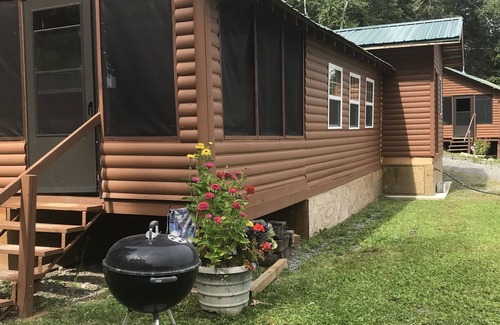 Sioux Narrows Nestor Falls Cabin | Cabin 3 Lakeview, Pet Friendly, Shared Sauna-Hot Tub, Patio on the lake