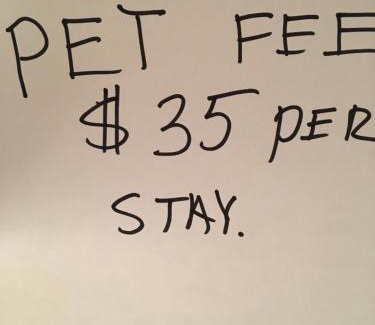 Custer House | Cabin 2 Brand new Rental car available