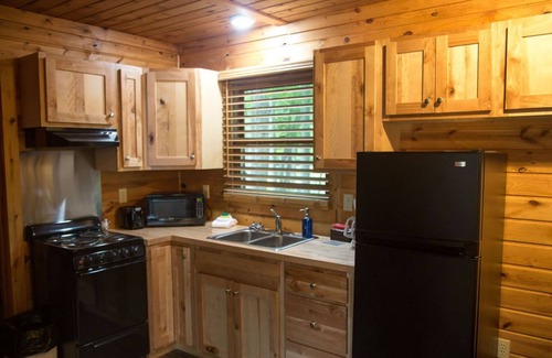 Gaylord House | Cabin 2353 - Little Log Cabin within Private Resort