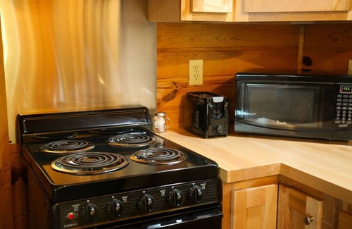 Gaylord House | Cabin 2353 - Little Log Cabin within Private Resort