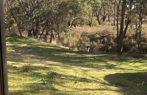 O'connell Cabin | Cabin 3 - 2 rooms with ensuite & sleeps 6 people. Guests can access amenities