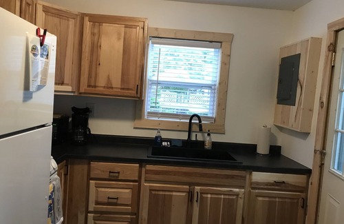 Higgins Lake House | CABIN #3 WITH LAKE VIEW AT HIGGINS LAKE - TRUE NORTH CABIN RENTALS