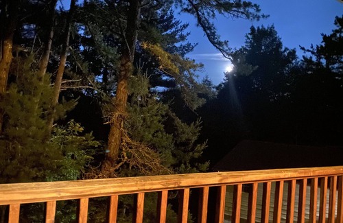 Fries Cabin | Cabin 5 Fall Asleep to the New River's Song