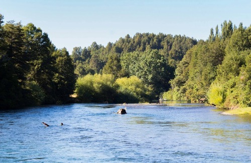 Pucon Ski Chalet | Cabin Chalet Type in Pucon