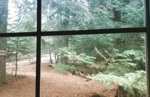 Sandpoint Cabin | Cabin in the Cedars.Close to Lake,Town & Mountain