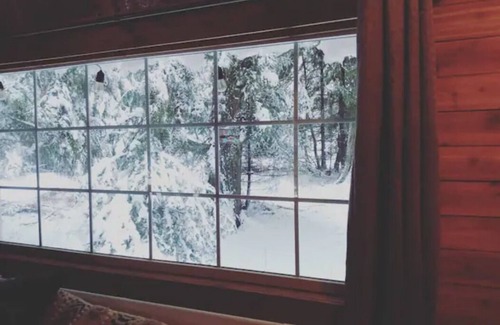 Sandpoint Cabin | Cabin in the Cedars.Close to Lake,Town & Mountain