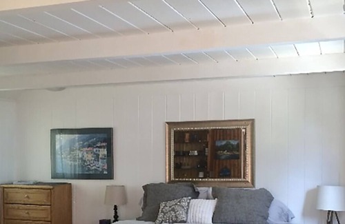 Bayfield Cabin | Cabin6 - Studio- Views Vallecito Lake/San Juan Mntns