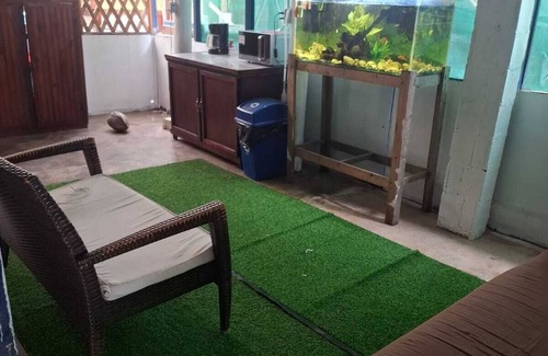 Tortuguero Bed & Breakfast | Cabinas Tortuguero Natural