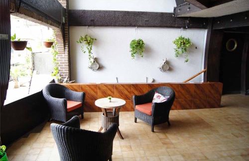 Centro Hotel | Cabo Tortuga Hotel Boutique