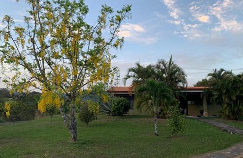Atenas House | Caladium House in the best weather!