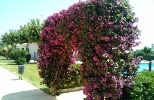 Coves Noves Apartment | Calan Blanes con piscina