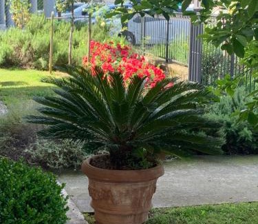 Abano Terme Apartment | Calipso