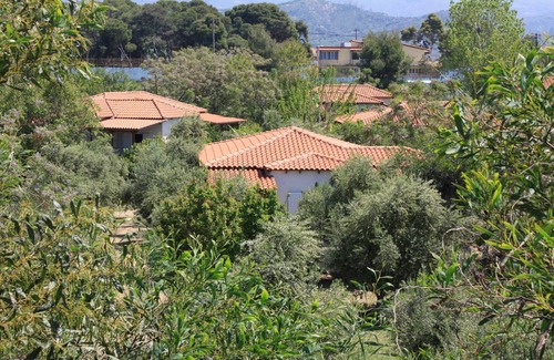 Kakovatos House | Calm located, amid an olive grove, close to the beach, wifi | holiday house Ilia
