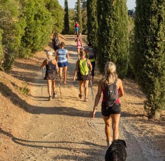 Campiglia Marittima Bed & Breakfast | Camere Vecchia Fonte