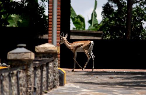 Arusha Apartment | Camp Davis