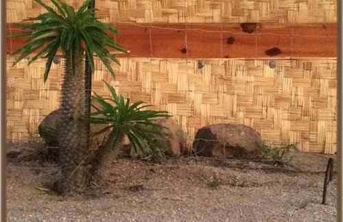 Todos Santos House | Camp - Santos Cabana Fabricio