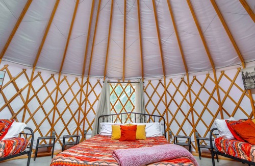 Driftwood Other | Camping ∙ 1 bedroom ∙ 4 guests