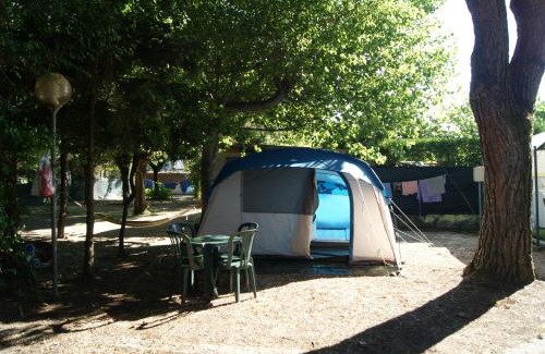 Marina di Massa Other | Camping Dolce Sole