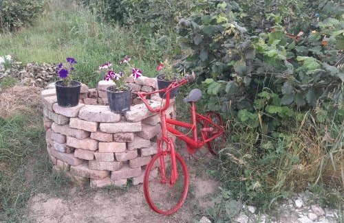 Gjirokaster Other | Camping DRINO VALLEY