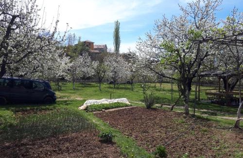 Peshkopi Bed & Breakfast | Camping Kapxhiu