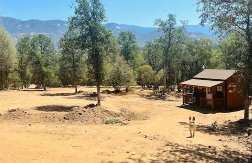 Squaw Valley RV Rental | Camping near Sequoia Kings Canyon National Park #6
