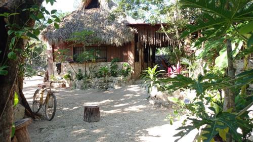 Tulum Other | Camping Rancho El Tauro